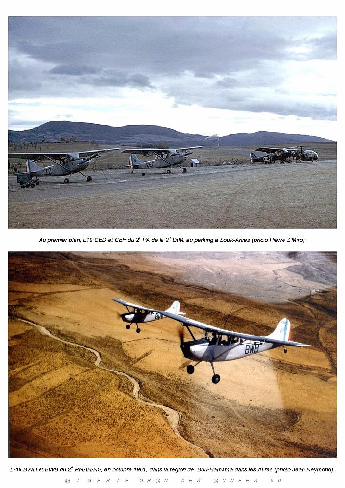610 CESSNA L-19 BIRD DOG EN SERVICE DANS L ALAT_000032_000060.jpg